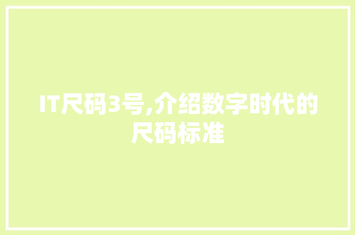 IT尺码3号,介绍数字时代的尺码标准 SEO关键词