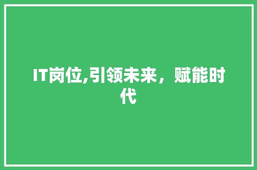 IT岗位,引领未来，赋能时代