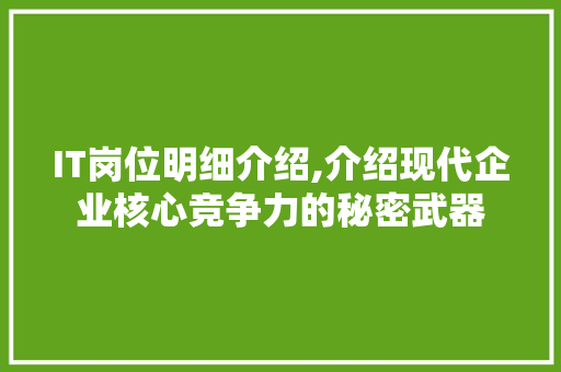 IT岗位明细介绍,介绍现代企业核心竞争力的秘密武器