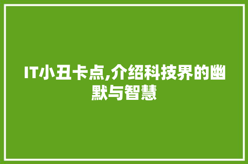 IT小丑卡点,介绍科技界的幽默与智慧