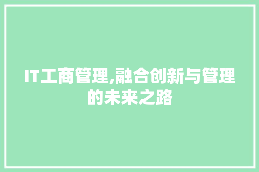 IT工商管理,融合创新与管理的未来之路