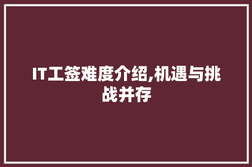 IT工签难度介绍,机遇与挑战并存