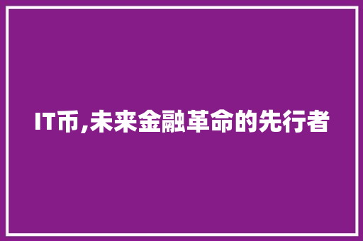 IT币,未来金融革命的先行者