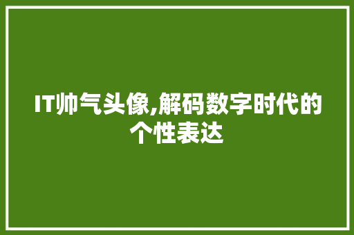 IT帅气头像,解码数字时代的个性表达