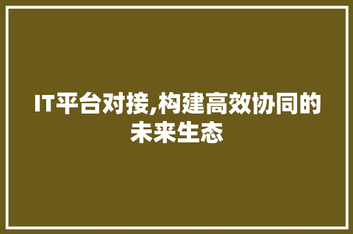 IT平台对接,构建高效协同的未来生态 网站建设公司