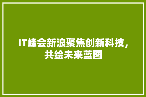 IT峰会新浪聚焦创新科技，共绘未来蓝图