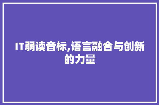 IT弱读音标,语言融合与创新的力量 必应SEO