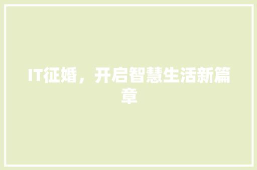 IT征婚，开启智慧生活新篇章