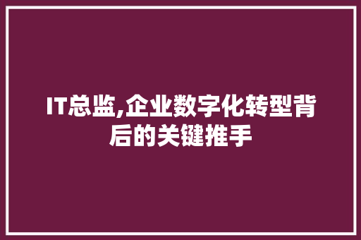 IT总监,企业数字化转型背后的关键推手
