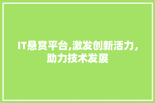IT悬赏平台,激发创新活力，助力技术发展