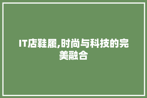 IT店鞋履,时尚与科技的完美融合