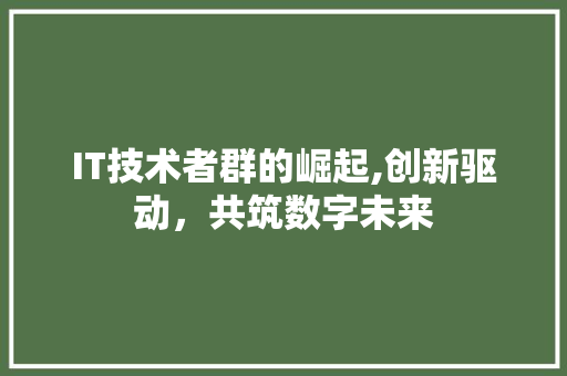 IT技术者群的崛起,创新驱动，共筑数字未来