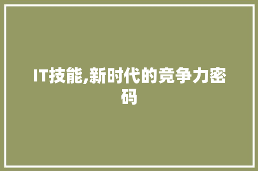 IT技能,新时代的竞争力密码 搜狗SEO