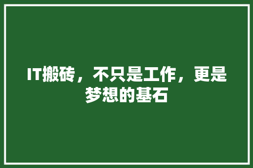 IT搬砖，不只是工作，更是梦想的基石 搜狗SEO