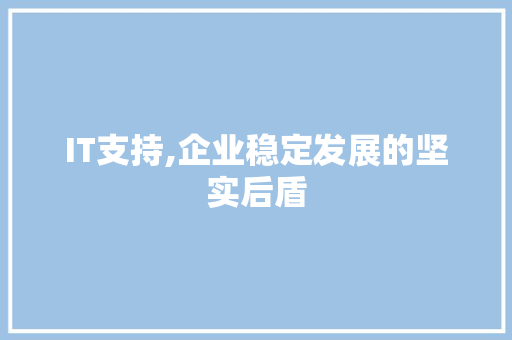 IT支持,企业稳定发展的坚实后盾 必应SEO