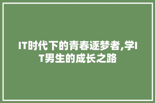 IT时代下的青春逐梦者,学IT男生的成长之路 必应SEO