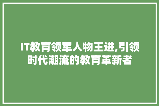 IT教育领军人物王进,引领时代潮流的教育革新者