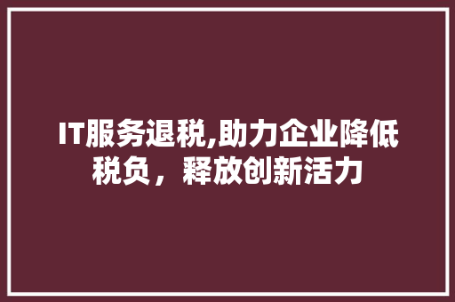 IT服务退税,助力企业降低税负，释放创新活力 网站建设公司