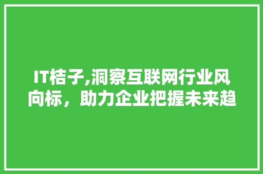 IT桔子,洞察互联网行业风向标，助力企业把握未来趋势