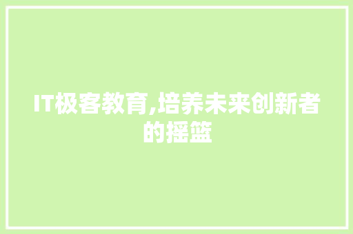IT极客教育,培养未来创新者的摇篮
