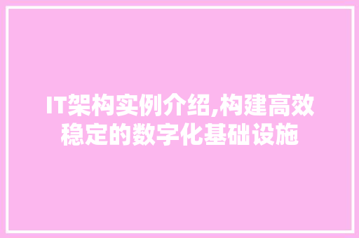 IT架构实例介绍,构建高效稳定的数字化基础设施