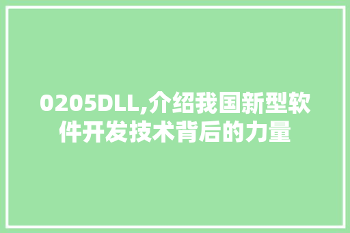 0205DLL,介绍我国新型软件开发技术背后的力量 百度SEO