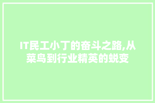 IT民工小丁的奋斗之路,从菜鸟到行业精英的蜕变