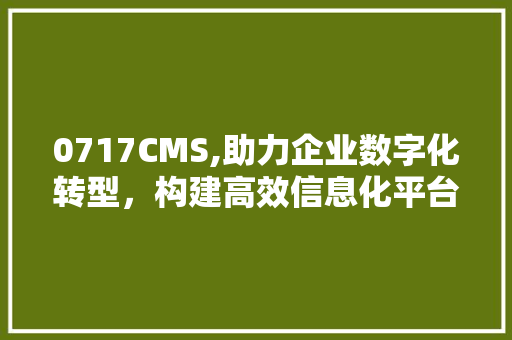 0717CMS,助力企业数字化转型，构建高效信息化平台 必应SEO