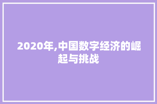 2020年,中国数字经济的崛起与挑战 SEO关键词