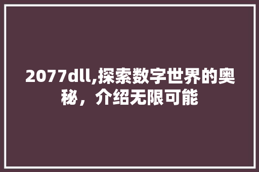 2077dll,探索数字世界的奥秘，介绍无限可能 必应SEO