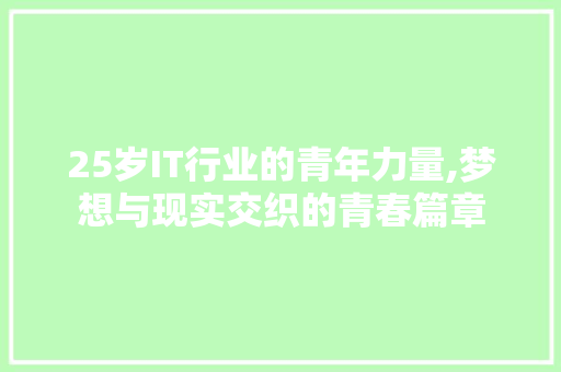 25岁IT行业的青年力量,梦想与现实交织的青春篇章 网站建设公司