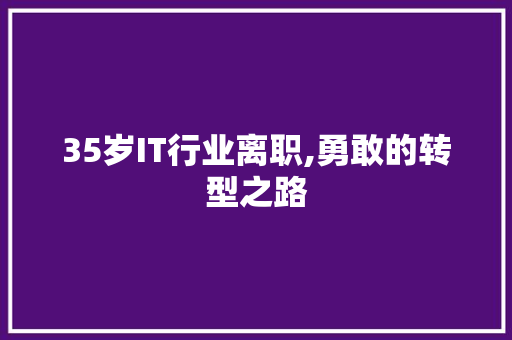 35岁IT行业离职,勇敢的转型之路 必应SEO