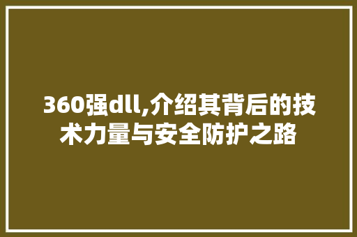 360强dll,介绍其背后的技术力量与安全防护之路 网站建设公司