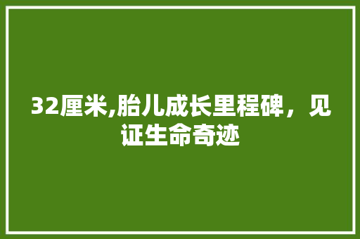 32厘米,胎儿成长里程碑，见证生命奇迹 搜狗SEO