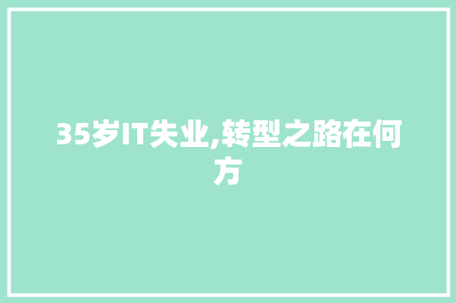 35岁IT失业,转型之路在何方 网站建设公司