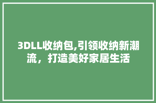 3DLL收纳包,引领收纳新潮流，打造美好家居生活 SEO关键词
