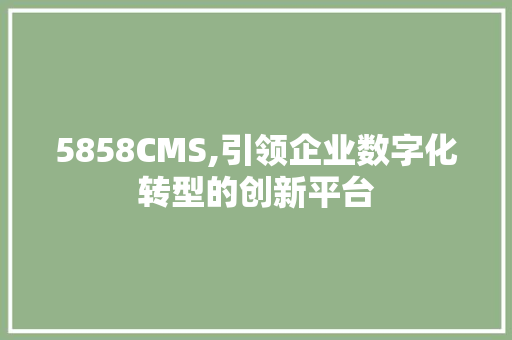 5858CMS,引领企业数字化转型的创新平台 百度SEO