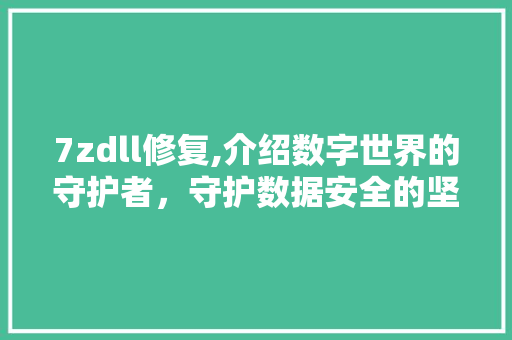 7zdll修复,介绍数字世界的守护者，守护数据安全的坚实后盾 网站建设公司