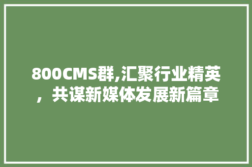 800CMS群,汇聚行业精英，共谋新媒体发展新篇章 搜狗SEO