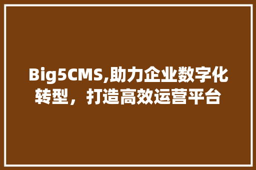 Big5CMS,助力企业数字化转型，打造高效运营平台 搜狗SEO