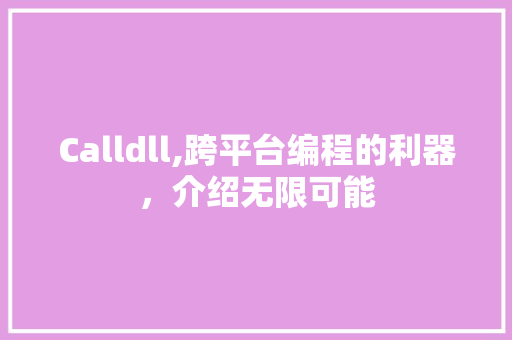 Calldll,跨平台编程的利器，介绍无限可能 网站建设公司