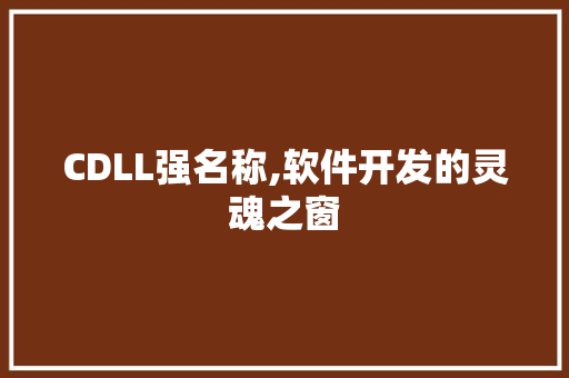 CDLL强名称,软件开发的灵魂之窗 神马SEO