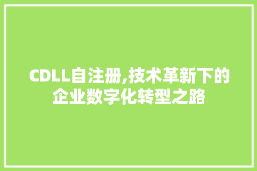 CDLL自注册,技术革新下的企业数字化转型之路 SEO关键词