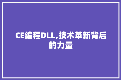 CE编程DLL,技术革新背后的力量 网站建设公司