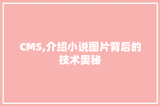 CMS,介绍小说图片背后的技术奥秘 网站建设公司