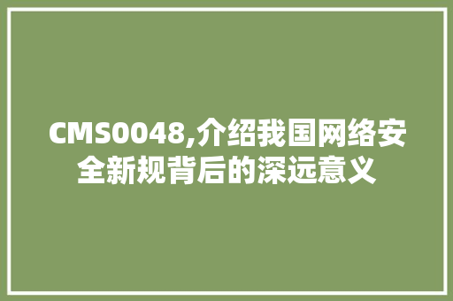 CMS0048,介绍我国网络安全新规背后的深远意义 必应SEO