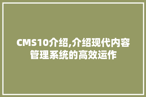 CMS10介绍,介绍现代内容管理系统的高效运作 必应SEO