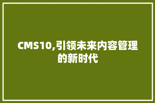 CMS10,引领未来内容管理的新时代 百度SEO