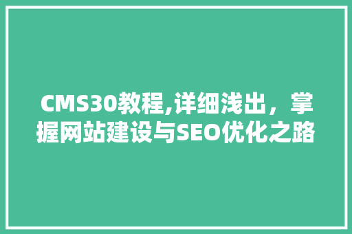 CMS30教程,详细浅出，掌握网站建设与SEO优化之路 必应SEO