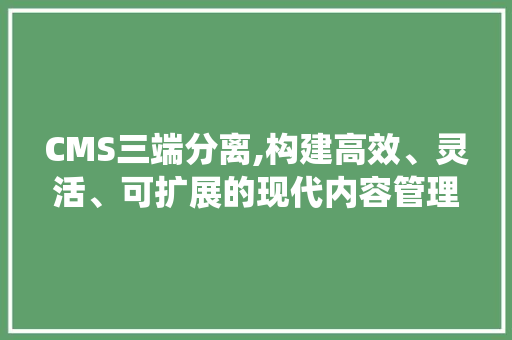 CMS三端分离,构建高效、灵活、可扩展的现代内容管理系统 必应SEO